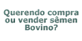 venda de semen bovino